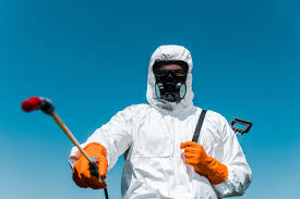 Emergency Pest Control in Ethete, WY